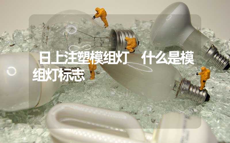 日上注塑模组灯 什么是模组灯标志